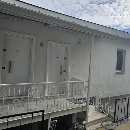 White House Holiday home