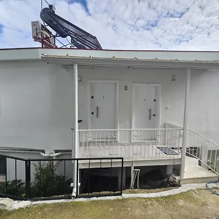 White House Holiday home